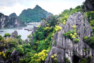 Quảng Ninh: Di sản - nguồn lực cho tăng trưởng xanh