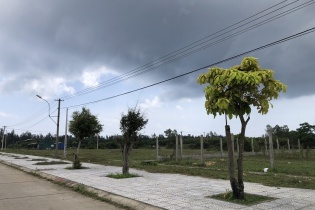 Quảng Ngãi chấn chỉnh tình trạng “ôm đất” ven biển chờ quy hoạch