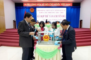 Ông Võ Ngọc Thành xin thôi làm đại biểu HĐND tỉnh Gia Lai vì thường xuyên đi viện