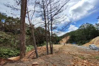 Kon Tum: Công ty lâm nghiệp Kon Plông bị thu hồi hơn 3,1 tỷ đồng