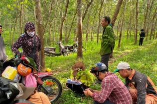 Quảng Trị khẩn trương giải phóng mặt bằng Dự án cao tốc Bắc - Nam