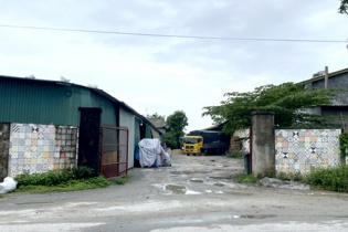 Chiếm đất phi nông nghiệp, một công ty ở Quảng Ngãi bị xử phạt 160 triệu đồng