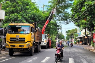 Quảng Ngãi yêu cầu “khẩn” cung cấp thông tin các dự án trồng, chăm sóc cây xanh