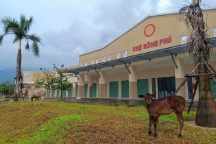 Nợ thuế gần 90 tỷ đồng, Công ty 591 có nguy cơ bị thu hồi đất