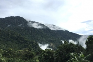 Quảng Ngãi tháo gỡ vướng mắc dự án trồng dược liệu 200 tỷ đồng