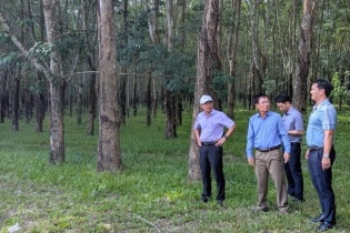Quảng Ngãi rà soát, điều chỉnh dự án khu du lịch - đô thị sinh thái 330 ha