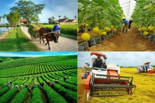 Xóa bỏ rào cản gia nhập thị trường của các hợp tác xã