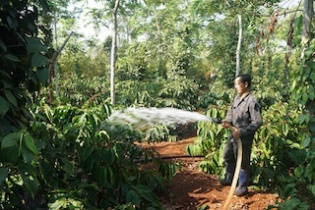 Sáng kiến đo độ ẩm, tiết kiệm nước đơn giản bất ngờ của nông dân Việt khiến thế giới thán phục