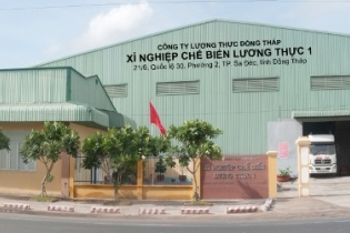 9 doanh nghiệp phụ thuộc của Vinafood 2 vẫn tiếp tục được xuất khẩu gạo 