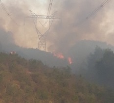 Cháy rừng ở miền Trung đe doạ cấp điện 
