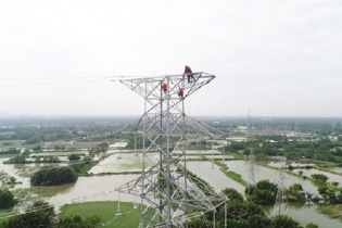 TP.HCM: Nhiều dự án truyền tải điện vướng quy hoạch sử dụng đất 