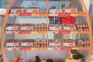 Trứng gà Hòa Phát phủ sóng hầu hết các siêu thị tại Hà Nội 