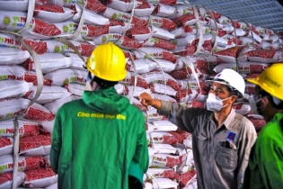 PVFCCo mời nông dân thăm nhà máy và trao đổi kinh nghiệm phân biệt phân bón 