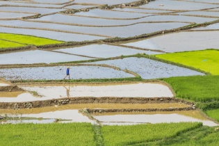 Lịch lấy nước phục vụ nông nghiệp không rơi vào thời gian nghỉ Tết 