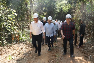 46 vị trí cột trong Đường dây Monsoon - Thạnh Mỹ thuộc rừng tự nhiên cần chuyển đổi