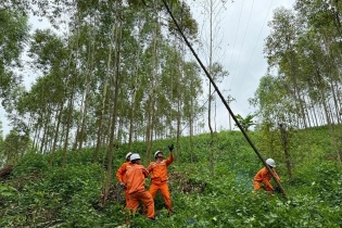 EVNNPC sẵn sàng các phương án đảm bảo cung cấp điện dịp nghỉ lễ Quốc khánh 2/9/2024