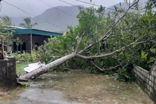 EVNNPC huy động gần 850 nhân lực hỗ trợ xử lý sự cố điện do bão số 10