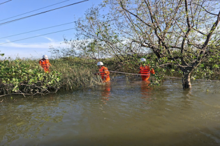 Sau bão, ngành Điện Hà Tĩnh tăng cường khuyến cáo an toàn điện