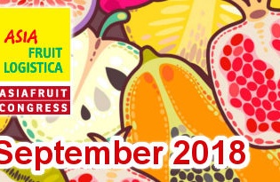 Hà Nội xúc tiến thương mại tại “Hội chợ rau quả Asia Fruit Logistica 2018”