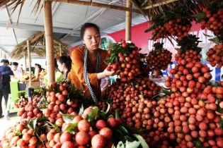 Sắp diễn ra Tuần lễ Vải thiều Lục Ngạn tại Hà Nội năm 2019