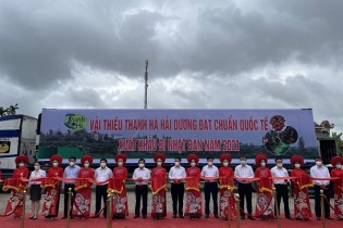 Hải Dương vượt dịch Covid-19, lô vải thiều đầu tiên năm 2021 xuất ngoại