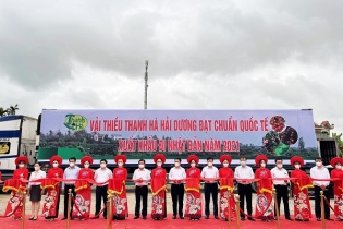 Vải thiều Thanh Hà (Hải Dương) lần đầu xuất khẩu sang Thái Lan