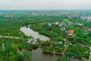 Hải Phòng: Nâng tầm vải thiều Thanh Hà qua liên kết tiêu thụ và du lịch sinh thái