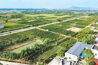 Hải Phòng tập trung cao điểm hoàn thiện cơ sở dữ liệu đất đai Thành phố