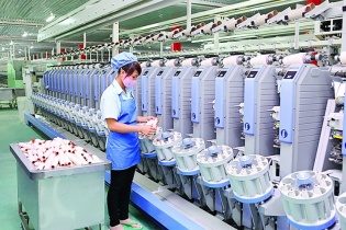 Dệt May Thành Công dự kiến lợi nhuận giảm 13%, tháng 2 “hụt” lãi vì Covid-19