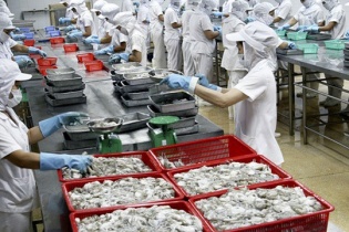 Thủy sản 4 bất ngờ chuyển lãi thành lỗ sau kiểm toán