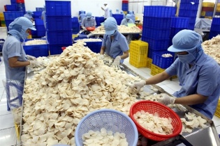 Vĩnh Hoàn sắp mua thêm hơn 25% vốn Sa Giang