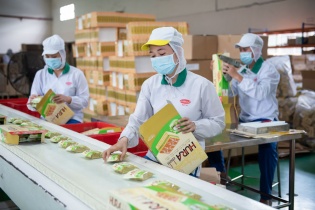 Hoán đổi cổ phần PAN CG, PAN sắp tăng sở hữu tại Bibica lên 58,94%