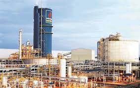 Đạm Phú Mỹ tạm ứng cổ tức năm 2021, tỷ lệ 10%