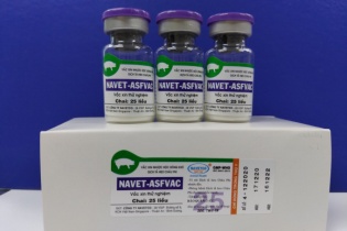 Navetco chưa định tăng vốn, sẵn sàng sản xuất vaccine dịch tả heo châu Phi 