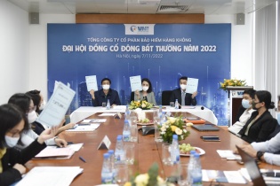 Thêm Chủ tịch HĐQT Lê Thị Hà Thanh là người đại diện theo pháp luật của VNI