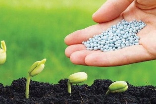 Thu hẹp nhóm hộ kinh doanh chịu thuế GTGT, điều chỉnh thuế suất với phân bón, đường...