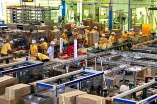 Đường Quảng Ngãi sắp chi 268 tỷ đồng tạm ứng cổ tức bằng tiền đợt 1/2024 