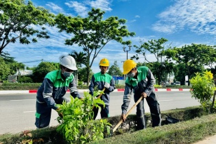 Một công ty công viên cây xanh chuẩn bị lộ trình thoái sạch vốn Nhà nước