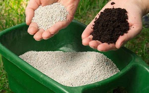 Phân bón Quốc tế Âu Việt hủy chào bán cho cổ đông, sắp trả cổ tức 30%