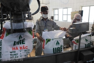 Biên lợi nhuận hồi phục, Đạm Hà Bắc báo lãi trở lại trong quý III/2024 