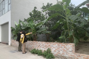 Luật Đất đai 2024 có thể được triển khai sớm nửa năm; Huyện Đông Anh mở đấu giá đất
