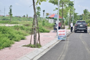 Hà Nội kiểm tra lại toàn bộ các buổi đấu giá đất tại Thanh Oai, Hoài Đức