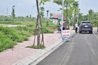 Chưa phát hiện sai phạm trong đấu giá đất Thanh Oai và Hoài Đức