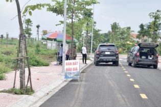 Sắp đấu giá 52 thửa đất cạnh lô 133 triệu đồng/m2 tại Hoài Đức, giá trúng có thể còn cao hơn