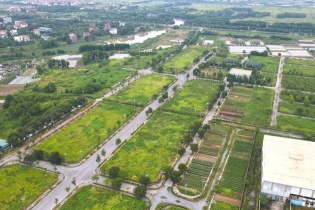 Hưng Yên sẽ đấu giá 273 lô đất ngay sau Tết Ất Tỵ 2025