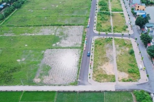 Đất đấu giá Thanh Oai mất mốc 100 triệu đồng/m2