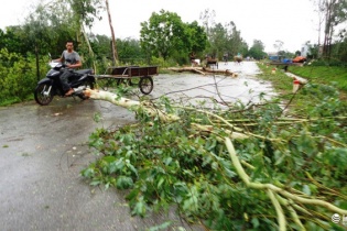 Bão số 2 đã làm 1 người chết ở Nghệ An 