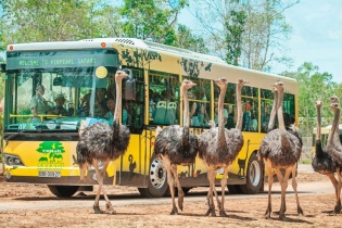 Vinpearl Safari Hạ Long đã được phê duyệt Quy hoạch chi tiết xây dựng tỷ lệ 1/500