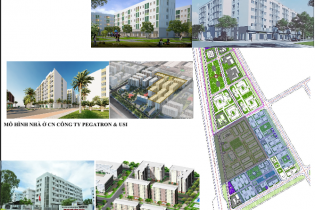 DEEP C đề xuất xây dựng nhà ở cho người lao động tại Hải Phòng