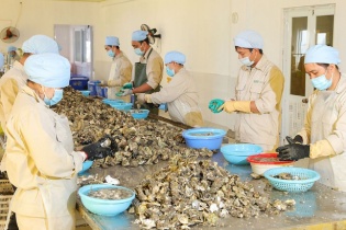 Quảng Ninh thành lập cụm công nghiệp mới rộng 53 ha tại Vân Đồn